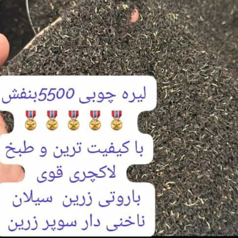 1792388628962.webp